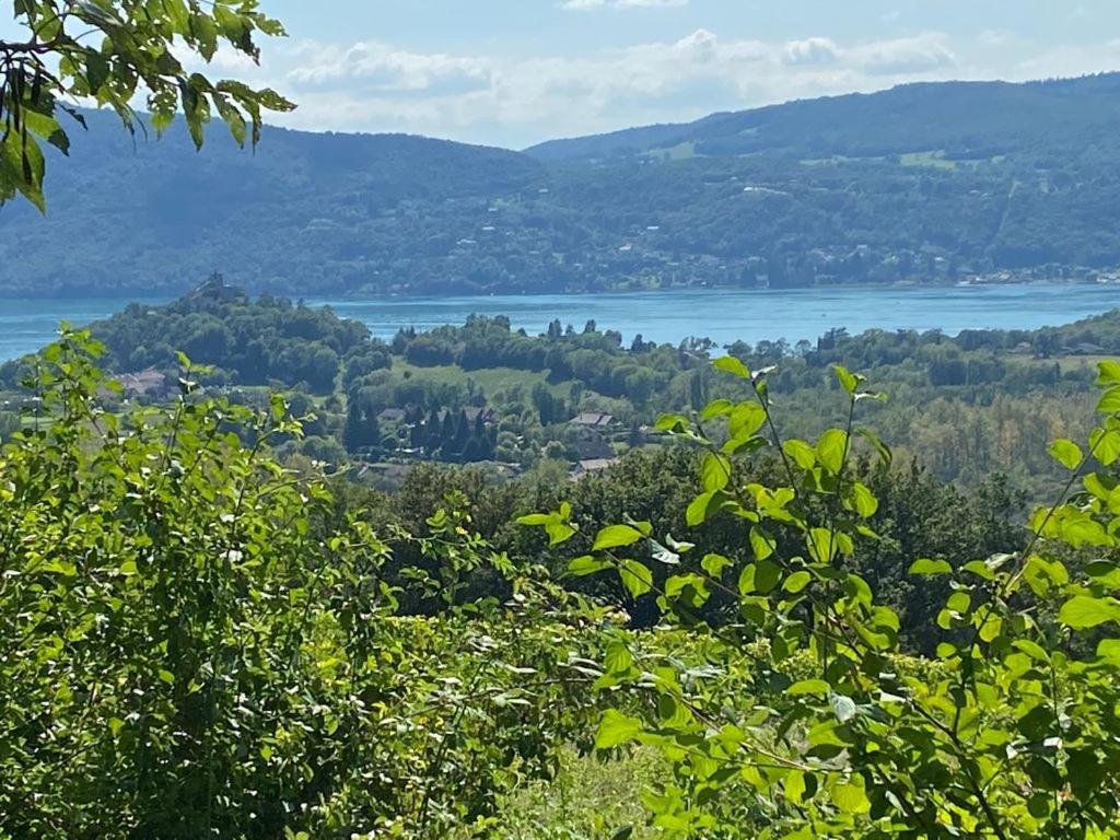 Du Vent Dans Les Arbres -120M2 Belle Vue Sur Le Lac Chindrieux Exterior foto